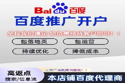 百度竞价排名优化技巧与成功案例分享